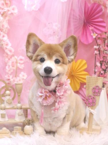 20250311ナナちゃん